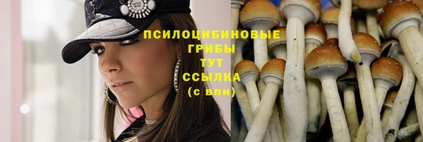 молекула духа Щучье